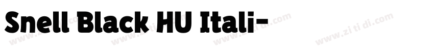 Snell Black HU Itali字体转换 Snell Black HU Itali字体转换